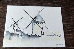 IMG_20240723_142346