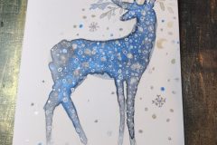 IMG_20221113_194640